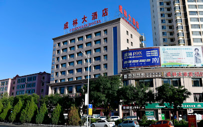 成林大酒店