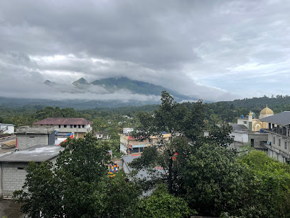 Hill Palace Banasura