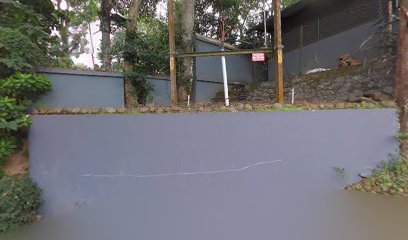 DOLPHIN HOMESTAY