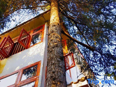 Floral·Letu Inn in Dianchi Resort