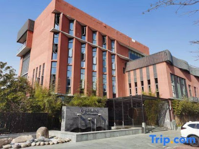 Dongtanyue Hotel