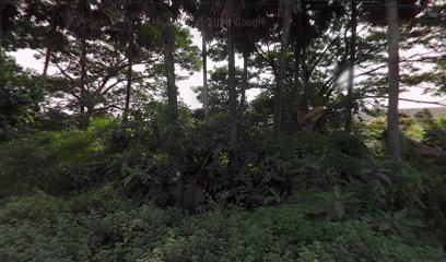 DHARANI HOTEL