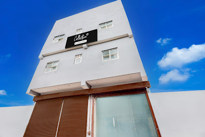 Collection O Sector 33