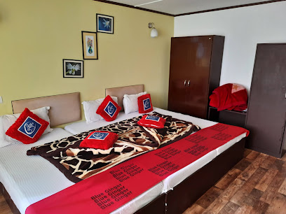 Hotel Blue Ginger