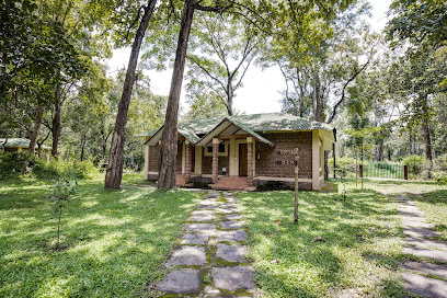 Jungle Lodges and Resorts - Dubare