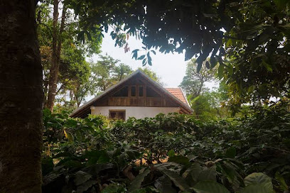 Magnolia Mist Homestay