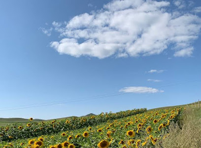 Bashang Caoyuan Farmhouse