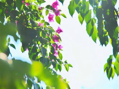 Jiuzhaigou happy sunshine home stay