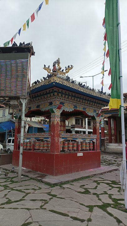 Hotel Dolma Chinkar