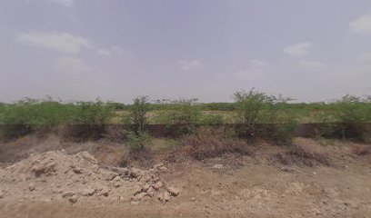 MS Dhoni Cricket Stadium