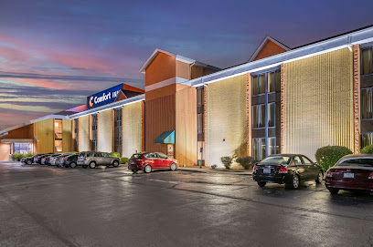 Comfort Inn Northeast