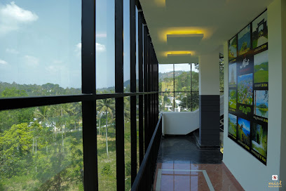 Mist Residency,Tourist home,Rooms,Hotel,Kattappana