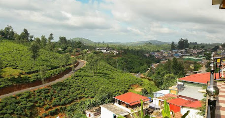 Misty Creek Homestay
