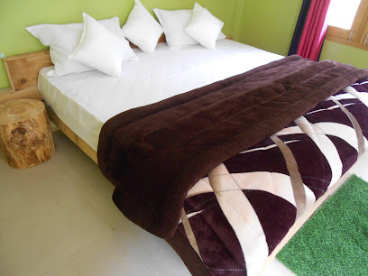 Rishab Homestay Tirthan