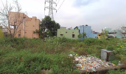 New Ramana Maharshi