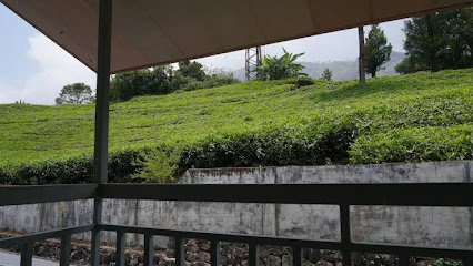 Mount Valley Resorts