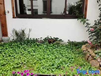 Shanshui Yake Guesthouse