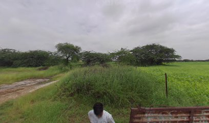 Hotel Harihar Haveli