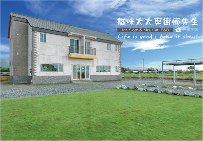 猫咪太太与树懒先生