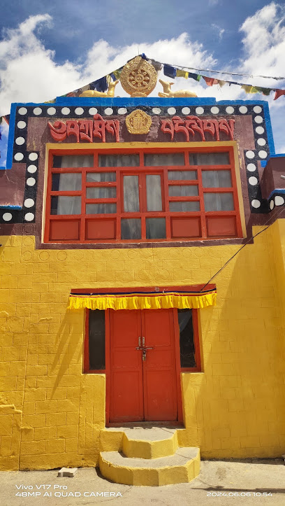 SNOWCLAD HOME STAY NEW KAZA