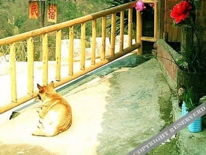 Xiaoyin Nongjiale
