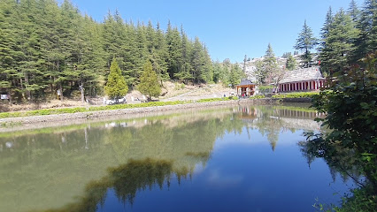 Camping in Manali by Bluesky Holiday LLP