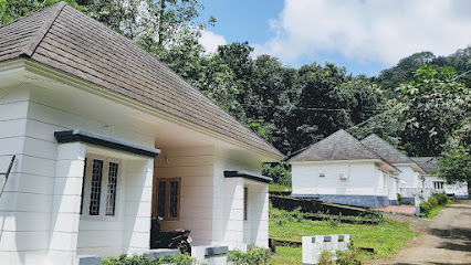 DREAM LAND RESORT