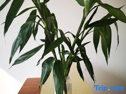 Xiangyun Hotel, Lushan