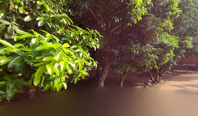 Shivanugraha Homestay