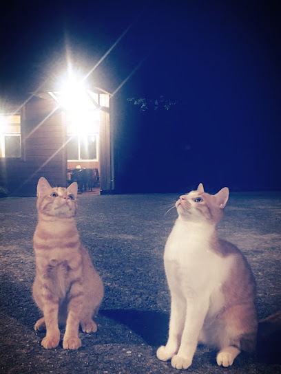 南庄眉山居咖啡民宿-苗栗縣民宿004號