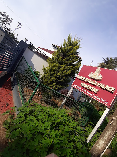 Shree Balaji Palace