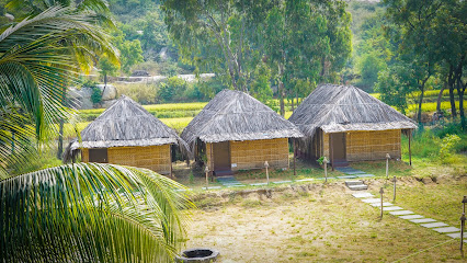 Banana Tree Home Stay Hampi