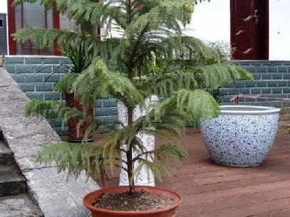 Zhanyou Zhijia Hotel