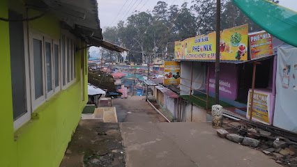 RAOJI HOME STAY