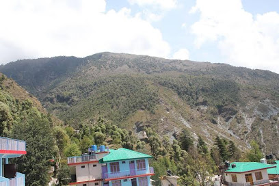 Magic Tree Coffee Shop and Guesthouse