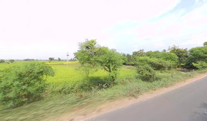 Raja Kumar Araria Basti Kali Mandir