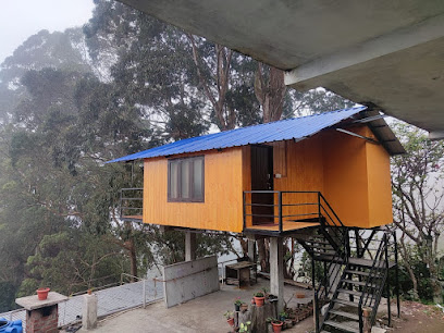 Kelvin Eva wood house