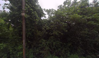 BHAGWATI GENERAL STORES