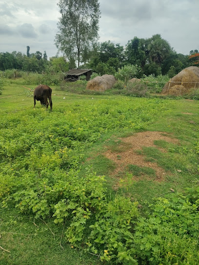 Jayslakshmi Lodge Rajam