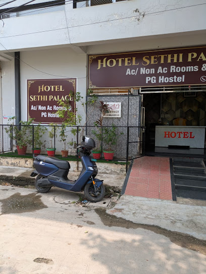 Hotel Sethi palace