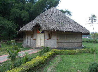 Bamboo Grove