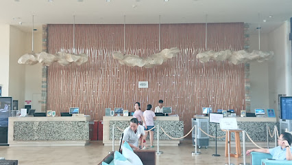 三亚海棠湾喜来登度假酒店停车场