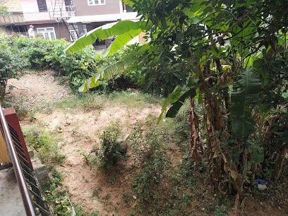 Anand home stay