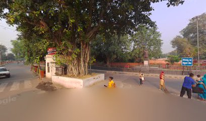 Haryana Hotel Restaurant