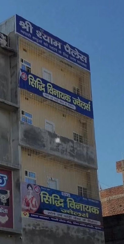 Shree Shyam Palace