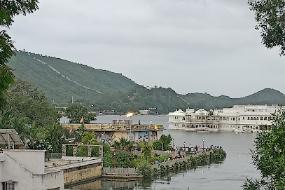 Hibiscus Udaipur