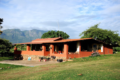 Eco Camp Mudumalai