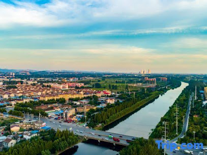 Shells Anhui Province Huaibei City Suixi County Ec