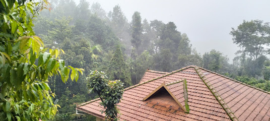 VAGMINE HOLIDAYS | Homestays and Resorts in coorg | Jeep safari in madikeri |Tours and Travels in madikeri and coorg
