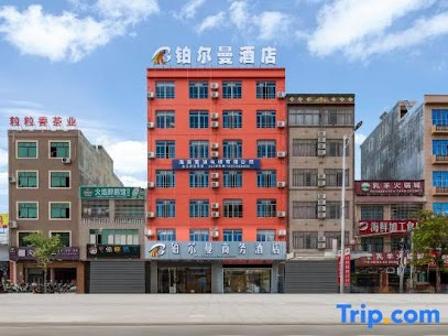 Pullman Business Hotel